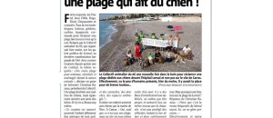 Action plage