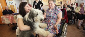 Zoothérapie à Nice : un lapin, un chien et le sourire revient (article Nice matin )
