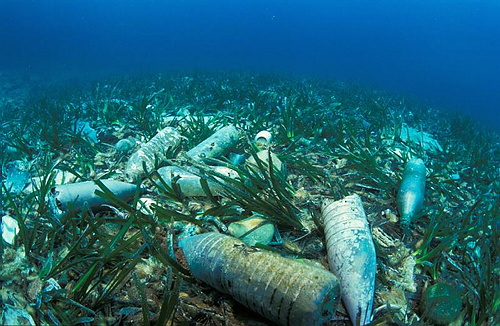 Au fond de la Méditerranée, les poubelles de la Côte d'Azur