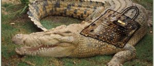 Demandez à Hermès de cesser d’utiliser la peau de crocodile et d’alligator !