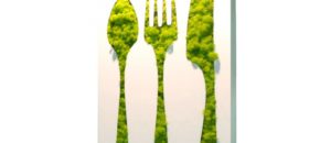 Atelier culinaire bio-végétal: MIAM! samedi 25 février